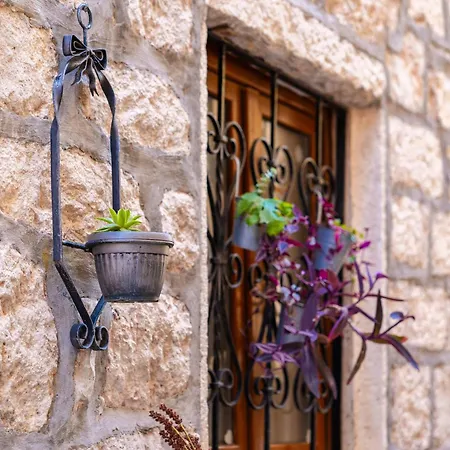 Apartament Nunciatta