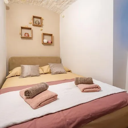 Nunciatta 科尔丘拉